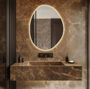 Miroir de courtoisie irrégulier lumineux