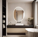 Miroir de courtoisie irrégulier lumineux