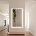 Miroir rectangulaire LED à éclairage frontal ÉLIANE