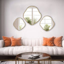 Decorative mirror with a natural silhouette