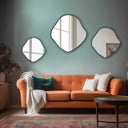 Decorative mirror with a natural silhouette